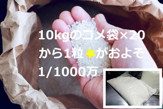 ジャンボ宝くじの当選確率はお米200kgから1粒くらい