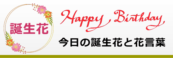 誕生花と花言葉