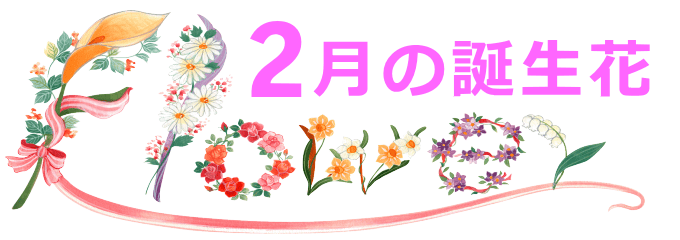 2月生まれの誕生花と花言葉