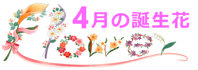 4月生まれの誕生花と花言葉