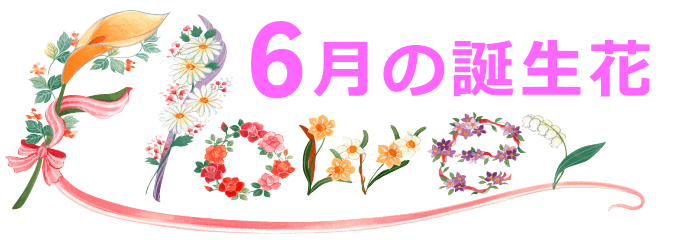 6月生まれの誕生花と花言葉