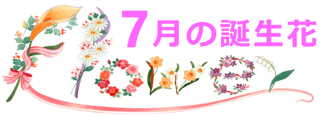 7月生まれの誕生花と花言葉
