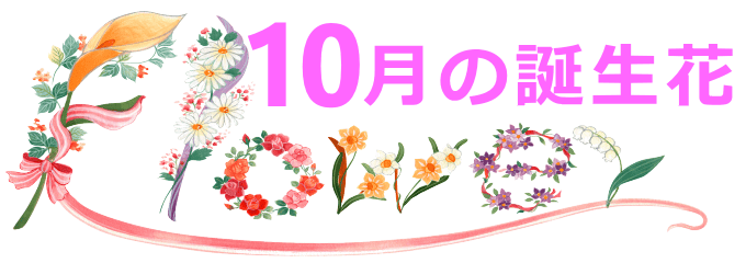 10月生まれの誕生花と花言葉