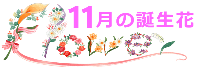 11月生まれの誕生花と花言葉