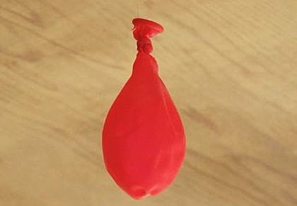 萎んだ風船 カンナの花が閉じると萎んだ風船のようです。