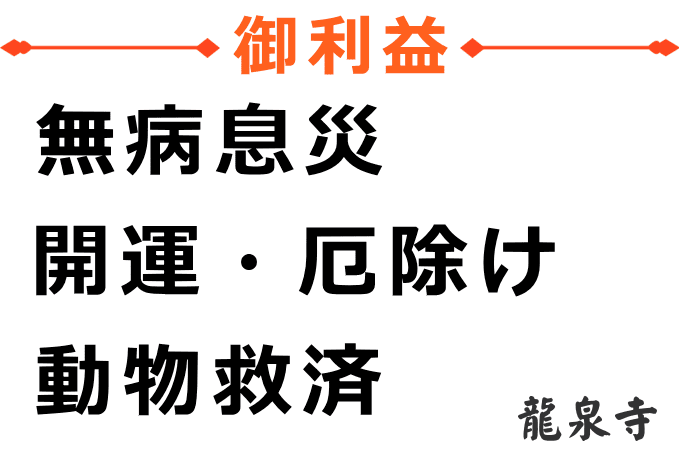 馬頭観音のご利益は、無病息災、開運・厄除け、動物救済です。