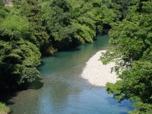 長良川の源流