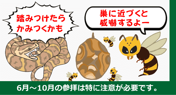 危険生物
