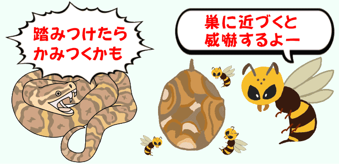 危険生物
