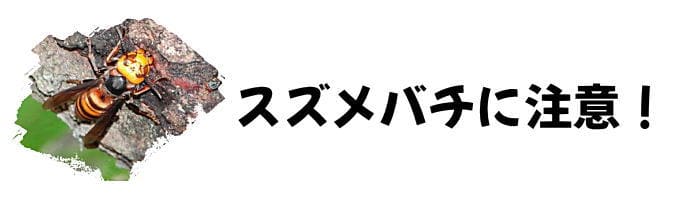 スズメバチに注意