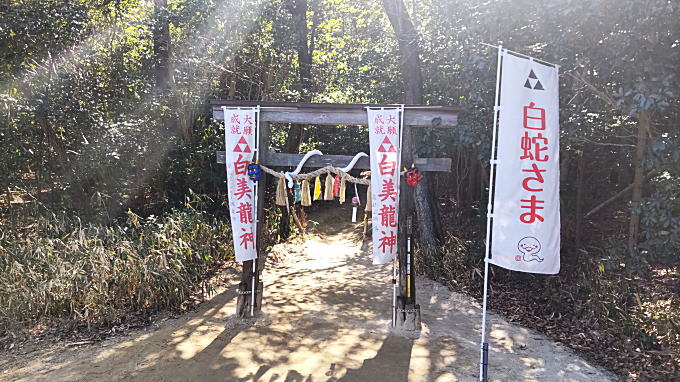 白美龍神社の鳥居