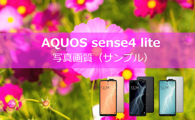 AQUOS sense4 liteで撮影した写真