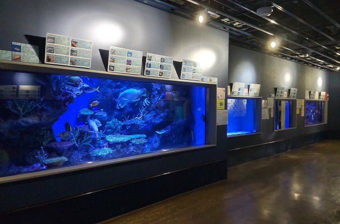 水族館の館内