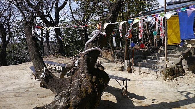 白美龍神社