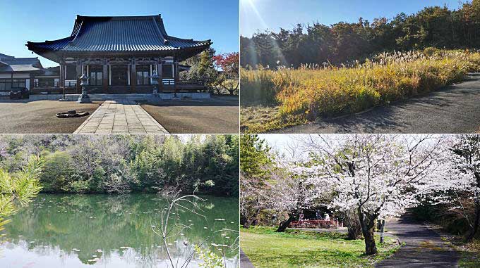 五色園の自然