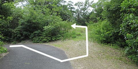 本堂の裏手に進む