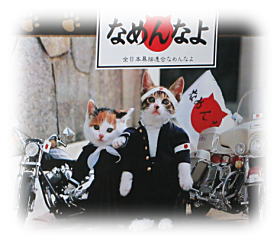 なめ猫