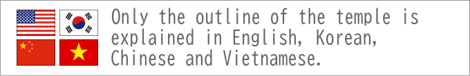 English,中国, Việt Nam,한국