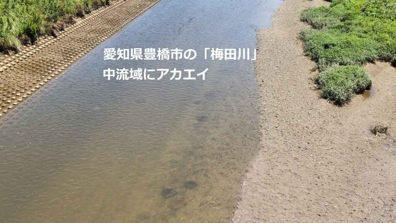 梅田川
