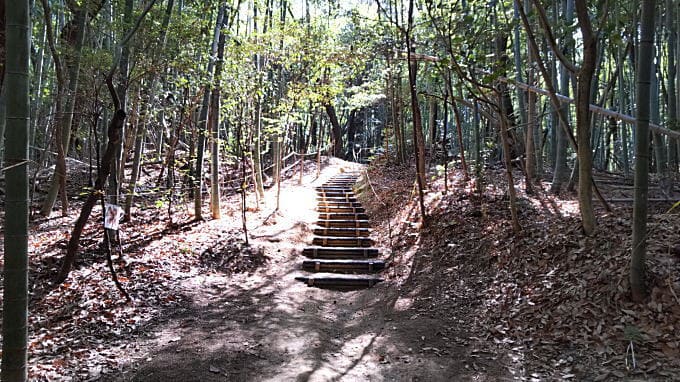 白美龍神社までの小径 白美龍神社までの小径