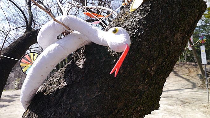 白美龍神社 白美龍神社